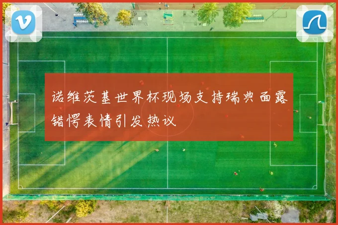 诺维茨基世界杯现场支持瑞典面露错愕表情引发热议