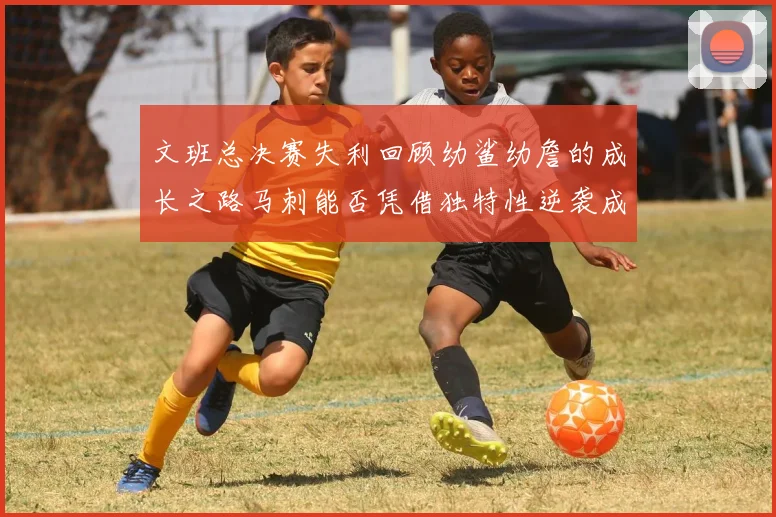 文班总决赛失利回顾幼鲨幼詹的成长之路马刺能否凭借独特性逆袭成功